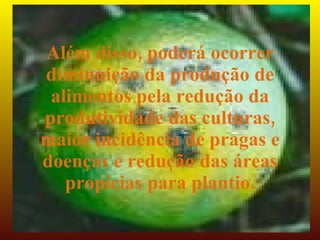 Além disso, poderá ocorrer
diminuição da produção de
 alimentos pela redução da
produtividade das culturas,
maior incidência de pragas e
doenças e redução das áreas
   propícias para plantio.
 