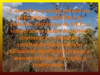 Caso não se consiga reduzir ou
   pelo menos estabilizar as
emissões antrópicas de GEE, a
temperatura média do planeta
    continuará a aumentar,
   resultando em mudanças
climáticas significativas para a
  manutenção da vida como a
         conhecemos.
 