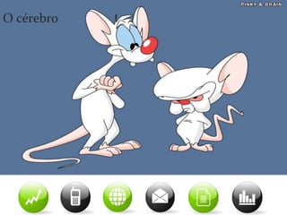 Eles são multitarefas