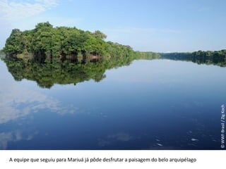 © WWF-Brasil / Zig Koch A equipe que seguiu para Mariuá já pôde desfrutar a paisagem do belo arquipélago 
