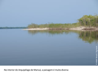 © WWF-Brasil / Zig Koch No interior do Arquipélago de Mariuá, a paisagem é muito diversa 