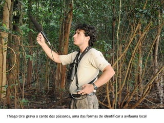© WWF-Brasil / Zig Koch Thiago Orsi grava o canto dos pássaros, uma das formas de identificar a avifauna local 