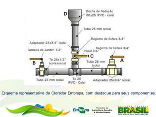 Esquema representativo do Clorador Embrapa, com destaque para seus componentes.
 