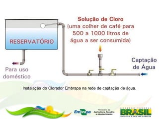 Instalação do Clorador Embrapa na rede de captação de água.
 