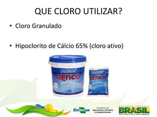 QUE CLORO UTILIZAR?
• Cloro Granulado
• Hipoclorito de Cálcio 65% (cloro ativo)
 