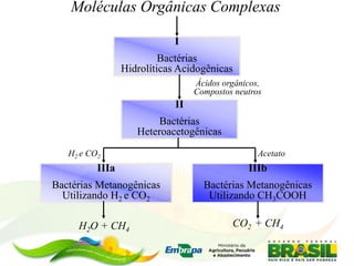 Moléculas Orgânicas Complexas
I
Bactérias
Hidrolíticas Acidogênicas
II
Bactérias
Heteroacetogênicas
Ácidos orgânicos,
Compostos neutros
IIIa
Bactérias Metanogênicas
Utilizando H2 e CO2
IIIb
Bactérias Metanogênicas
Utilizando CH3COOH
H2O + CH4
CO2 + CH4
H2 e CO2 Acetato
 
