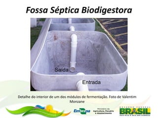 Entrada
Saída
Detalhe do interior de um dos módulos de fermentação. Foto de Valentim
Monzane
Fossa Séptica Biodigestora
 