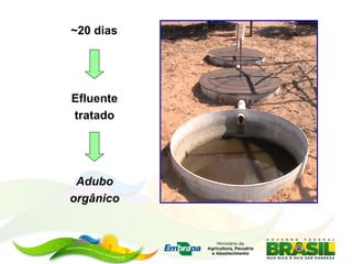~20 dias
Efluente
tratado
Adubo
orgânico
 
