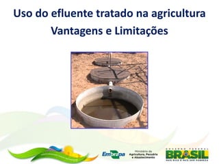 Uso do efluente tratado na agricultura
Vantagens e Limitações
 