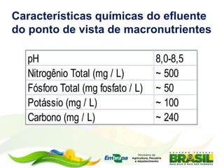pH 8,0-8,5
Nitrogênio Total (mg / L) ~ 500
Fósforo Total (mg fosfato / L) ~ 50
Potássio (mg / L) ~ 100
Carbono (mg / L) ~ 240
Características químicas do efluente
do ponto de vista de macronutrientes
 