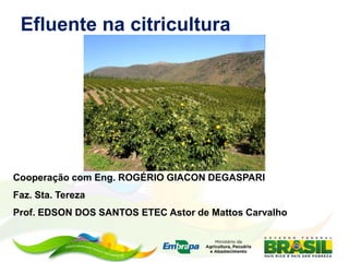 Efluente na citricultura
Cooperação com Eng. ROGÉRIO GIACON DEGASPARI
Faz. Sta. Tereza
Prof. EDSON DOS SANTOS ETEC Astor de Mattos Carvalho
 