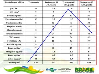 Resultados solo a 20 cm Testemunha Tratamento 01
30L/planta
Tratamento 02
60 L/planta
Tratamento 03
120L/planta
pH CaCl 4.4 4.6 6 6.1
MO g/dm3 9 7 7 7
Fósforo mg/dm3 18 25 63 52
Potássio mmolc/dm3 3.5 2.3 2.5 2.5
Cálcio mmolc/dm3 8 12 43 30
Magnésio mmolc 2 10 15 15
Alumínio mmolc/ 5 3 0 0
Soma bases mmocl/ 14 24 61 48
CTC mmolc/ 30 44 74 62
Fertilidade V% 45 55 82 77
Enxofre mg/dm3 28 * * *
Ferro mg/dm3 19 18 25 19
Manganês mg/dm3 5.8 11.4 8.2 5.4
Zinco mg/dm3 0.6 0.3 0.7 0.2
Cobre mg/dm3 0.8 0.7 0.9 0.7
Boro mg/dm3 0.34 0.61 0.65 0.61
 