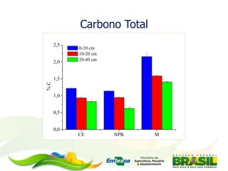 Carbono Total
CE NPK M
0,0
0,5
1,0
1,5
2,0
2,5
%C 0-10 cm
10-20 cm
20-40 cm
 
