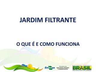 JARDIM FILTRANTE
O QUE É E COMO FUNCIONA
 