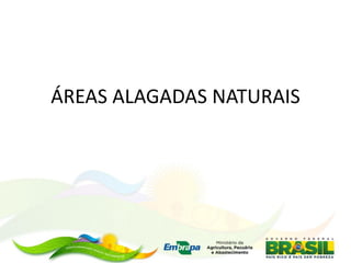 ÁREAS ALAGADAS NATURAIS
 