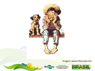 Imagem: www.infoescola.com
 
