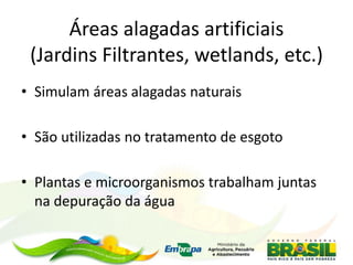 Áreas alagadas artificiais
(Jardins Filtrantes, wetlands, etc.)
• Simulam áreas alagadas naturais
• São utilizadas no tratamento de esgoto
• Plantas e microorganismos trabalham juntas
na depuração da água
 