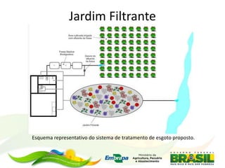 Jardim Filtrante
Esquema representativo do sistema de tratamento de esgoto proposto.
 