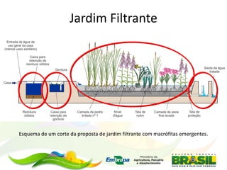 Jardim Filtrante
Esquema de um corte da proposta de jardim filtrante com macrófitas emergentes.
 