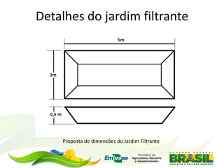 Detalhes do jardim filtrante
Proposta de dimensões do Jardim Filtrante
 