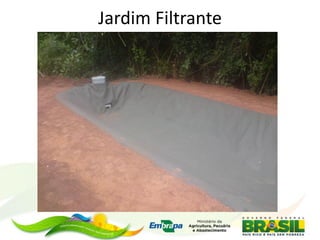 Jardim Filtrante
 