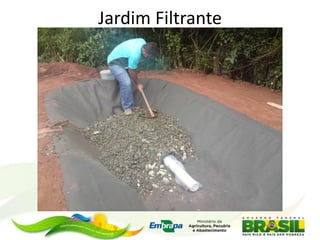 Jardim Filtrante
 