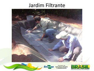 Jardim Filtrante
 