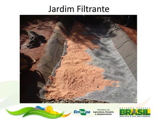 Jardim Filtrante
 