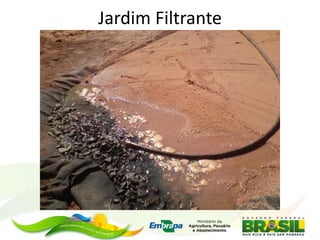 Jardim Filtrante
 