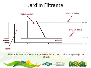 Jardim Filtrante
Detalhe da saída do efluente com o sistema de controle do nível da água do jardim
filtrante
 