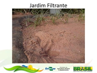 Jardim Filtrante
 
