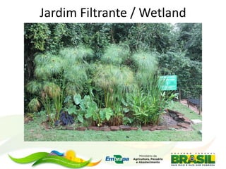 Jardim Filtrante / Wetland
 