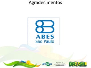 Agradecimentos
 