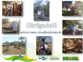 wilson.lopes-silva@embrapa.br
 
