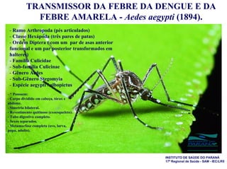 TRANSMISSOR DA FEBRE DA DENGUE E DA
             FEBRE AMARELA - Aedes aegypti (1894).
 - Ramo Arthropoda (pés articulados)
 - Classe Hexápoda (três pares de patas)
 - Ordem Díptera ( com um par de asas anterior
 funcional e um par posterior transformados em
 halteres)
 - Família Culicidae
 - Sub-família Culicinae
 - Gênero Aedes
 - Sub-Gênero Stegomyia
 - Espécie aegypti / albopictus
- * Possuem:
- Corpo dividido em cabeça, tórax e
abdome.
- Simetria bilateral.
- Revestimento quitinoso (exoesqueleto).
- Tubo digestivo completo.
- Sexos separados.
- Metamorfose completa (ovo, larva,
pupa, adulto).



                                                               S E C R E T A RIA   D A   SA Ú D E




                                                 INSTITUTO DE SAÚDE DO PARANÁ
                                                 17ª Regional de Saúde - SAM - IEC/LRS
 