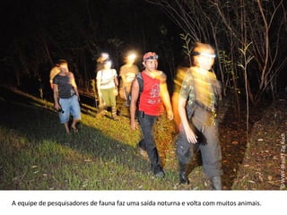 © WWF-Brasil / Zig Koch A equipe de pesquisadores de fauna faz uma saída noturna e volta com muitos animais. 