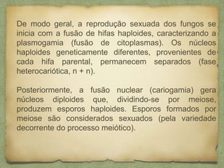 De modo geral, a reprodução sexuada dos fungos se
inicia com a fusão de hifas haploides, caracterizando a
plasmogamia (fusão de citoplasmas). Os núcleos
haploides geneticamente diferentes, provenientes de
cada hifa parental, permanecem separados (fase
heterocariótica, n + n).
Posteriormente, a fusão nuclear (cariogamia) gera
núcleos diploides que, dividindo-se por meiose,
produzem esporos haploides. Esporos formados por
meiose são considerados sexuados (pela variedade
decorrente do processo meiótico).
 