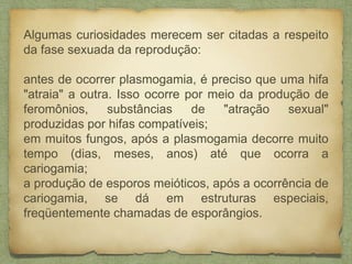 Algumas curiosidades merecem ser citadas a respeito
da fase sexuada da reprodução:
antes de ocorrer plasmogamia, é preciso que uma hifa
"atraia" a outra. Isso ocorre por meio da produção de
feromônios, substâncias de "atração sexual"
produzidas por hifas compatíveis;
em muitos fungos, após a plasmogamia decorre muito
tempo (dias, meses, anos) até que ocorra a
cariogamia;
a produção de esporos meióticos, após a ocorrência de
cariogamia, se dá em estruturas especiais,
freqüentemente chamadas de esporângios.
 