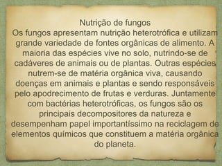 Nutrição de fungos
Os fungos apresentam nutrição heterotrófica e utilizam
grande variedade de fontes orgânicas de alimento. A
maioria das espécies vive no solo, nutrindo-se de
cadáveres de animais ou de plantas. Outras espécies
nutrem-se de matéria orgânica viva, causando
doenças em animais e plantas e sendo responsáveis
pelo apodrecimento de frutas e verduras. Juntamente
com bactérias heterotróficas, os fungos são os
principais decompositores da natureza e
desempenham papel importantíssimo na reciclagem de
elementos químicos que constituem a matéria orgânica
do planeta.
 