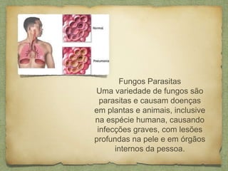 Fungos Parasitas
Uma variedade de fungos são
parasitas e causam doenças
em plantas e animais, inclusive
na espécie humana, causando
infecções graves, com lesões
profundas na pele e em órgãos
internos da pessoa.
 