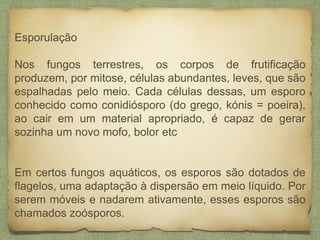 Esporulação
Nos fungos terrestres, os corpos de frutificação
produzem, por mitose, células abundantes, leves, que são
espalhadas pelo meio. Cada células dessas, um esporo
conhecido como conidiósporo (do grego, kónis = poeira),
ao cair em um material apropriado, é capaz de gerar
sozinha um novo mofo, bolor etc
Em certos fungos aquáticos, os esporos são dotados de
flagelos, uma adaptação à dispersão em meio líquido. Por
serem móveis e nadarem ativamente, esses esporos são
chamados zoósporos.
 