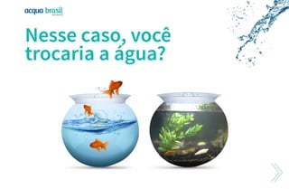 Apresentacao Alka Brasil