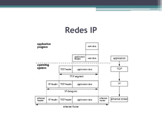 Redes IP
 