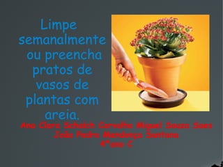 Ana Clara Schalch Carvalho Miguel Souza Saes
João Pedro Mendonça Santana
4ºano C
Limpe
semanalmente
ou preencha
pratos de
vasos de
plantas com
areia.
 