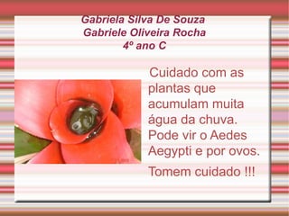 Gabriela Silva De Souza
Gabriele Oliveira Rocha
4º ano C
Cuidado com as
plantas que
acumulam muita
água da chuva.
Pode vir o Aedes
Aegypti e por ovos.
Tomem cuidado !!!
 