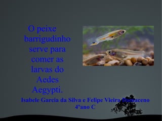 Isabele Garcia da Silva e Felipe Vieira Damaceno
4ºano C
O peixe
barrigudinho
serve para
comer as
larvas do
Aedes
Aegypti.
 