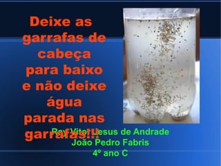 Ray Vitor Jesus de Andrade
João Pedro Fabris
4º ano C
Deixe as
garrafas de
cabeça
para baixo
e não deixe
água
parada nas
garrafas!!!
 