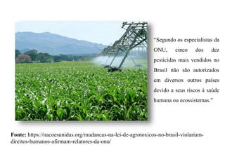 Fonte: https://nacoesunidas.org/mudancas-na-lei-de-agrotoxicos-no-brasil-violariam-
direitos-humanos-afirmam-relatores-da-onu/
“Segundo os especialistas da
ONU, cinco dos dez
pesticidas mais vendidos no
Brasil não são autorizados
em diversos outros países
devido a seus riscos à saúde
humana ou ecossistemas.”
 
