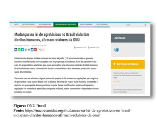 Figura: ONU Brasil
Fonte: https://nacoesunidas.org/mudancas-na-lei-de-agrotoxicos-no-brasil-
violariam-direitos-humanos-afirmam-relatores-da-onu/
 