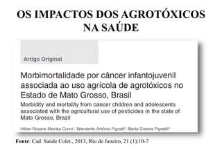 Fonte: Cad. Saúde Colet., 2013, Rio de Janeiro, 21 (1):10-7
OS IMPACTOS DOS AGROTÓXICOS
NA SAÚDE
 